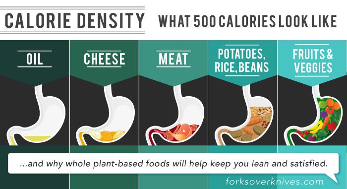 Where can you find a fruit and vegetable calorie chart?