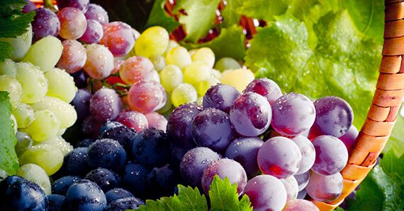 Plant-Strong Snacking border Grapes570x299 Plant Strong Snacking