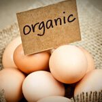 Will Switching to Organic Meat, Dairy and Eggs Save Your Health?