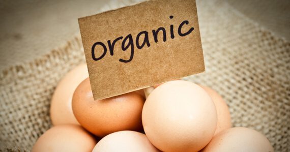 Susan Levin 570x299 Will Switching to Organic Meat, Dairy and Eggs Save Your Health?