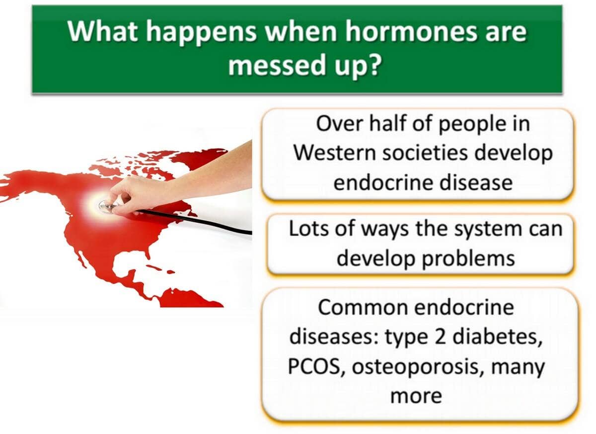 hormones results graphic