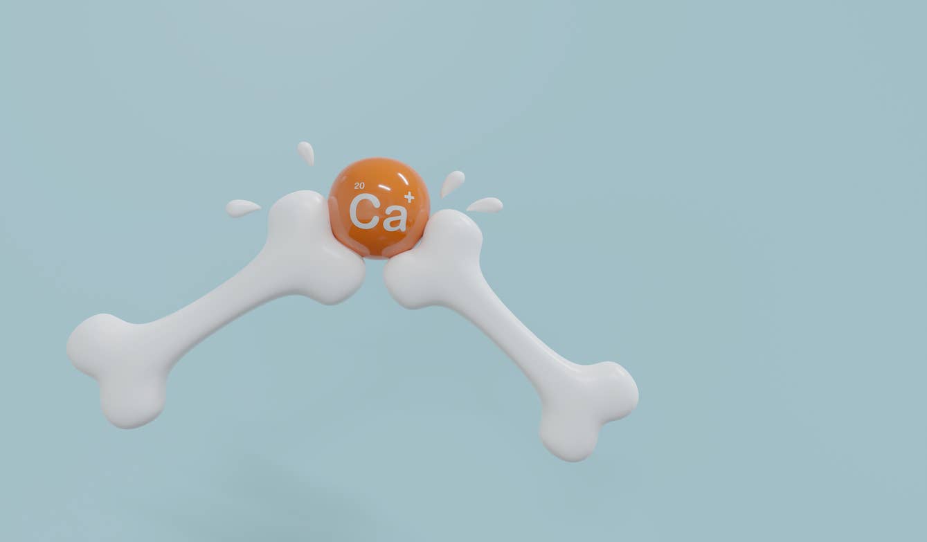 a computer-rendered image showing two plastic-looking bones intersecting at an orange ball, which has the periodic symbol for Calcium on it