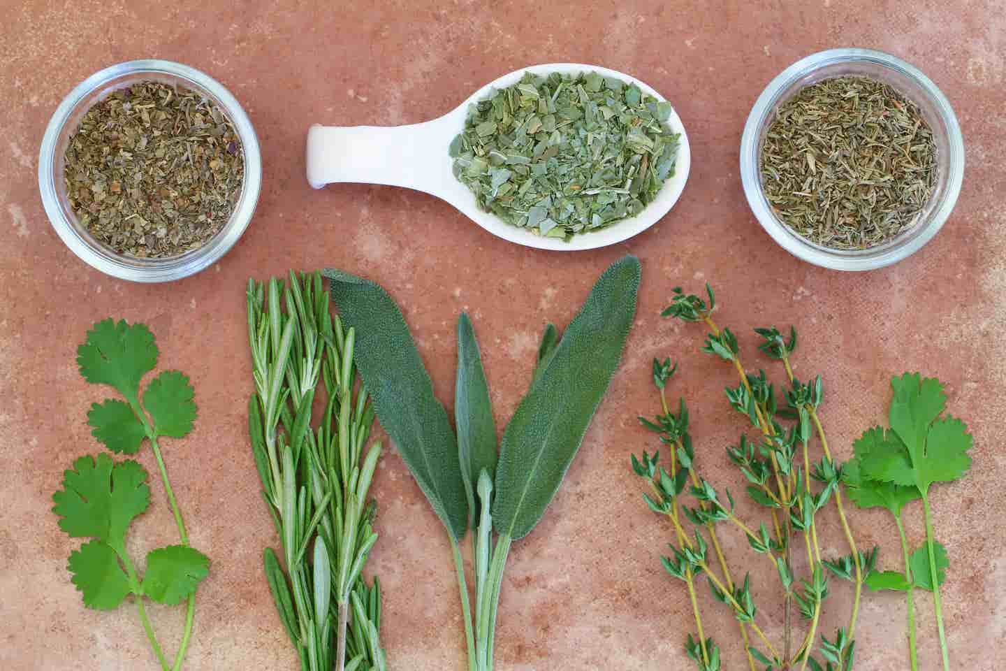 Assortment of fresh and dried herbs on a terracotta surface
