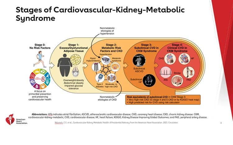 A chart showing the stages of cardiovascular-kidney-metabolic (CKM) syndrome 