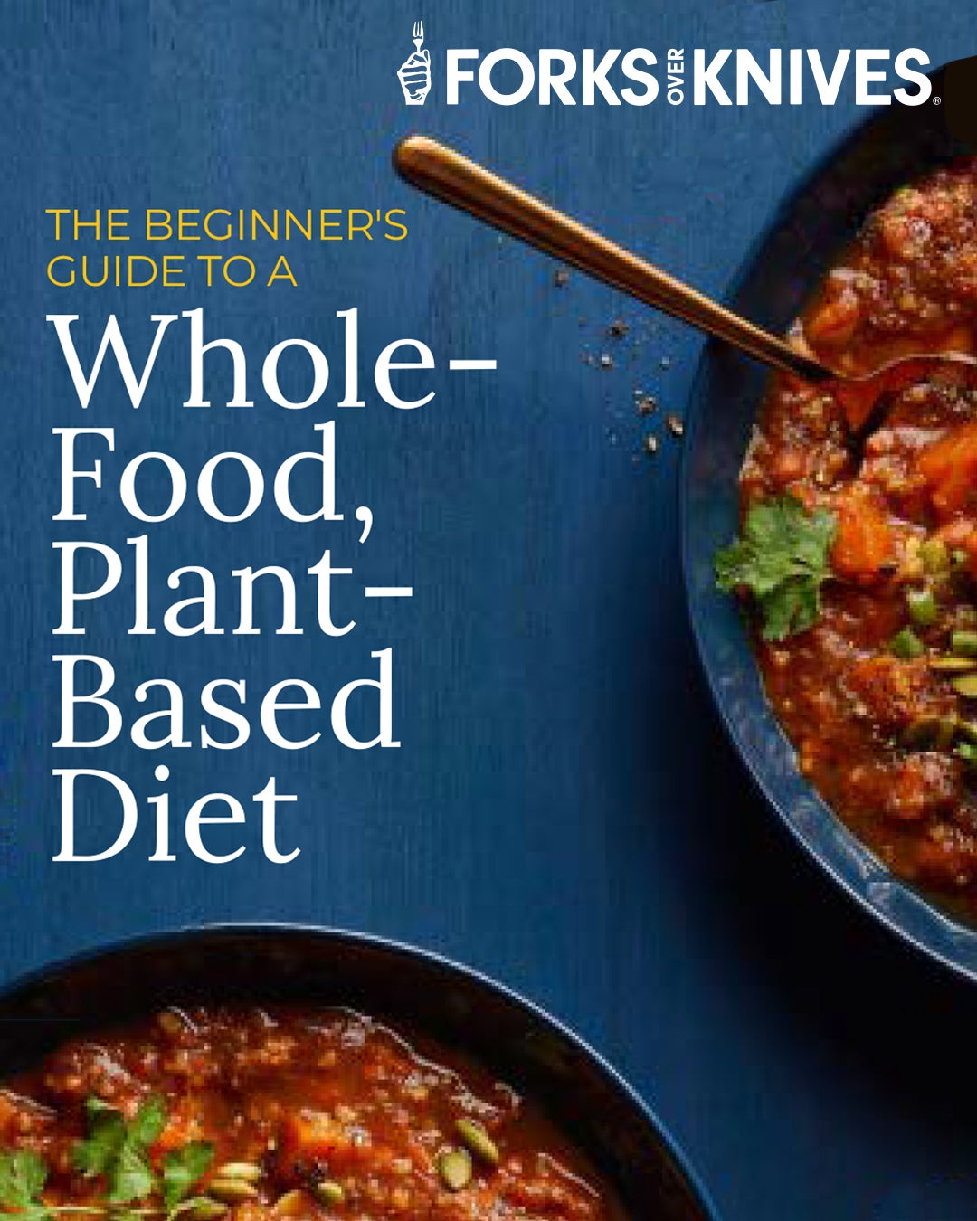 Two hearty bowls of healthy vegan chili