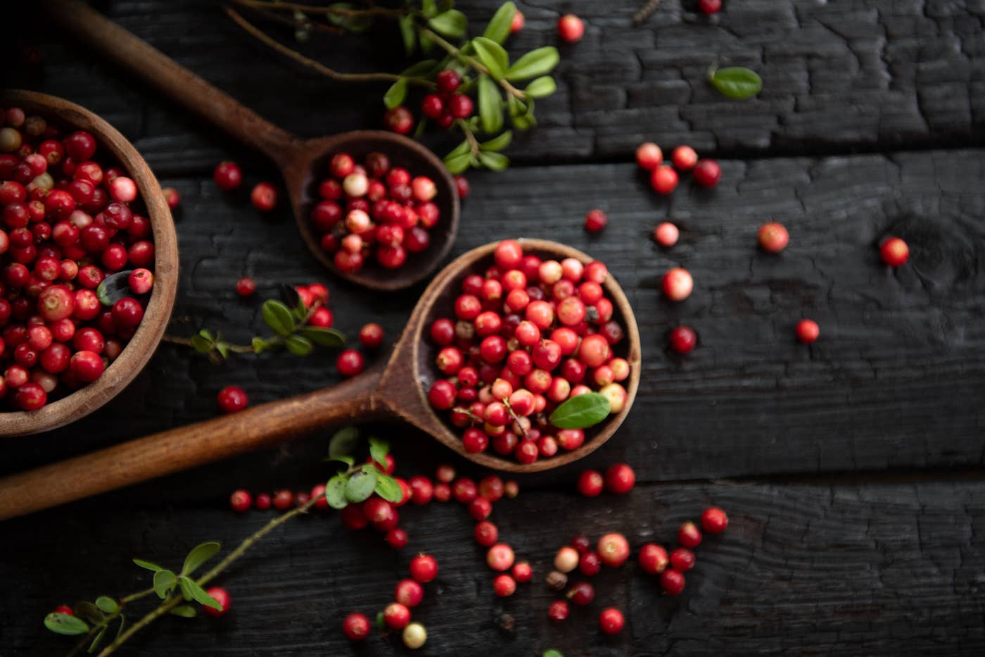 Red cranberries on wooden background, with some in a wooden spoon, and sprigs of their leaves to the side
