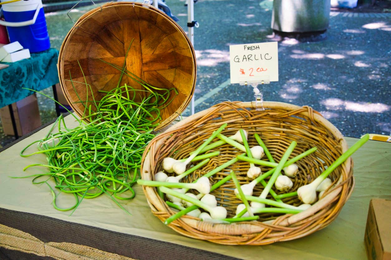 green garlic scapes at the farmers market next to fresh green garlic