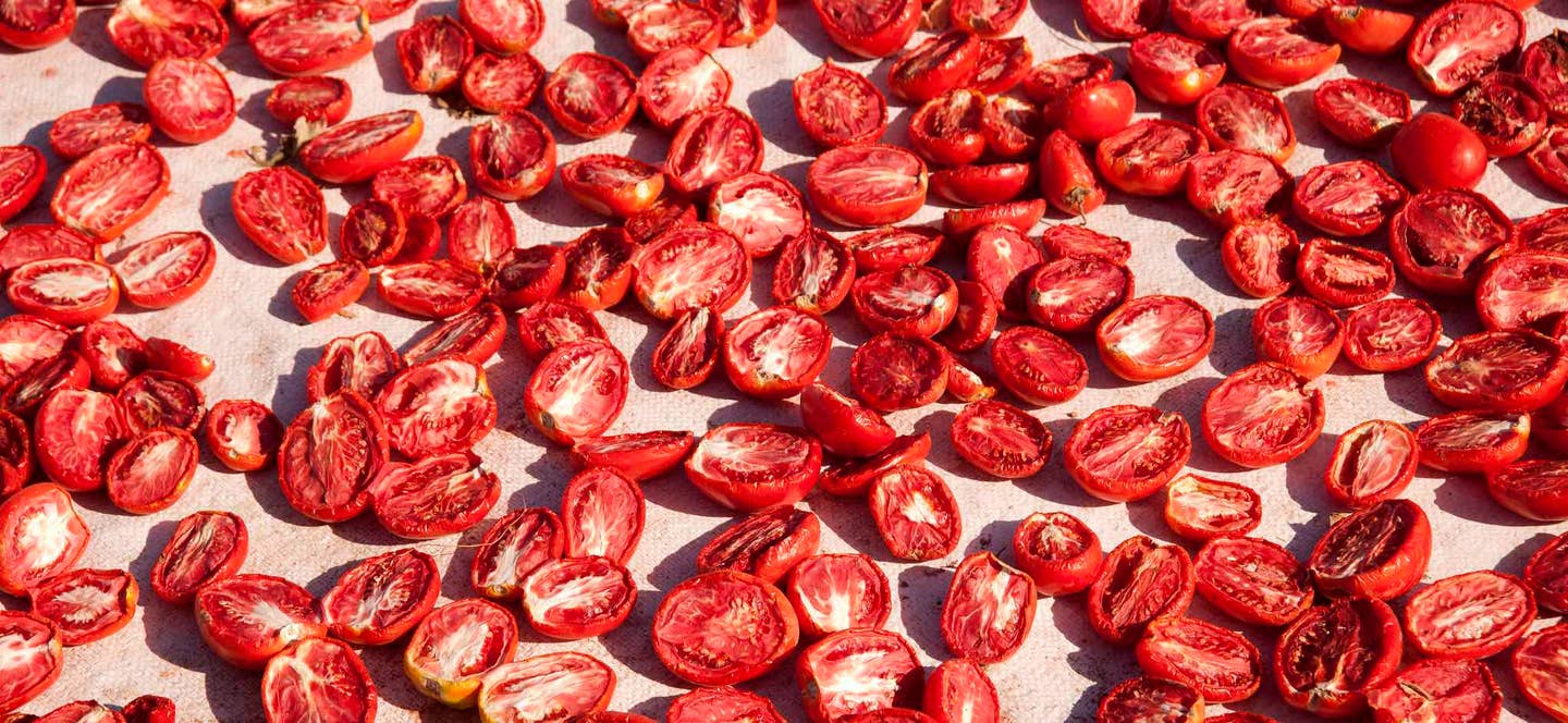 dozens of halved tomatoes lay out in the sun becoming sun-dried tomatoes