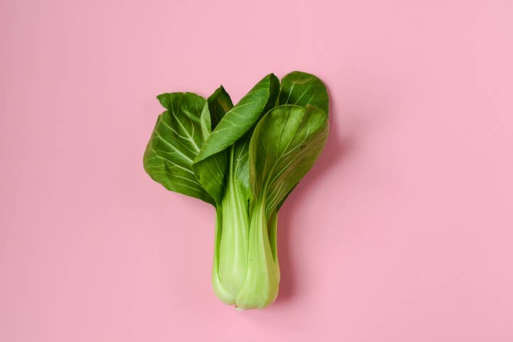 a small head of fresh bok choy with smooth leaves on a pink background