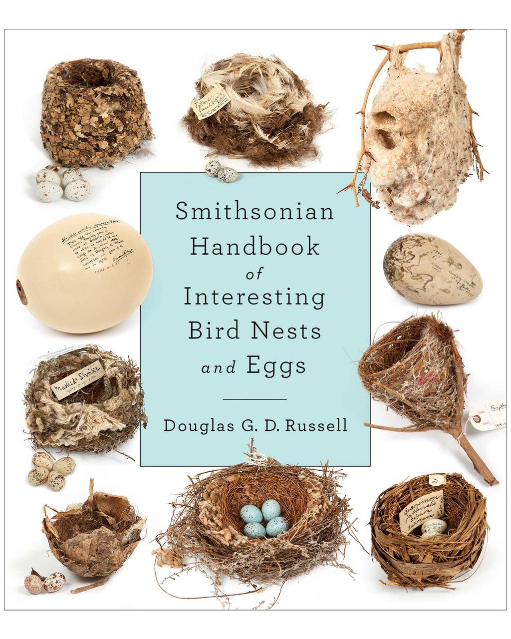 Smithsonian Handbook for interesting Bird Nests and Eggs