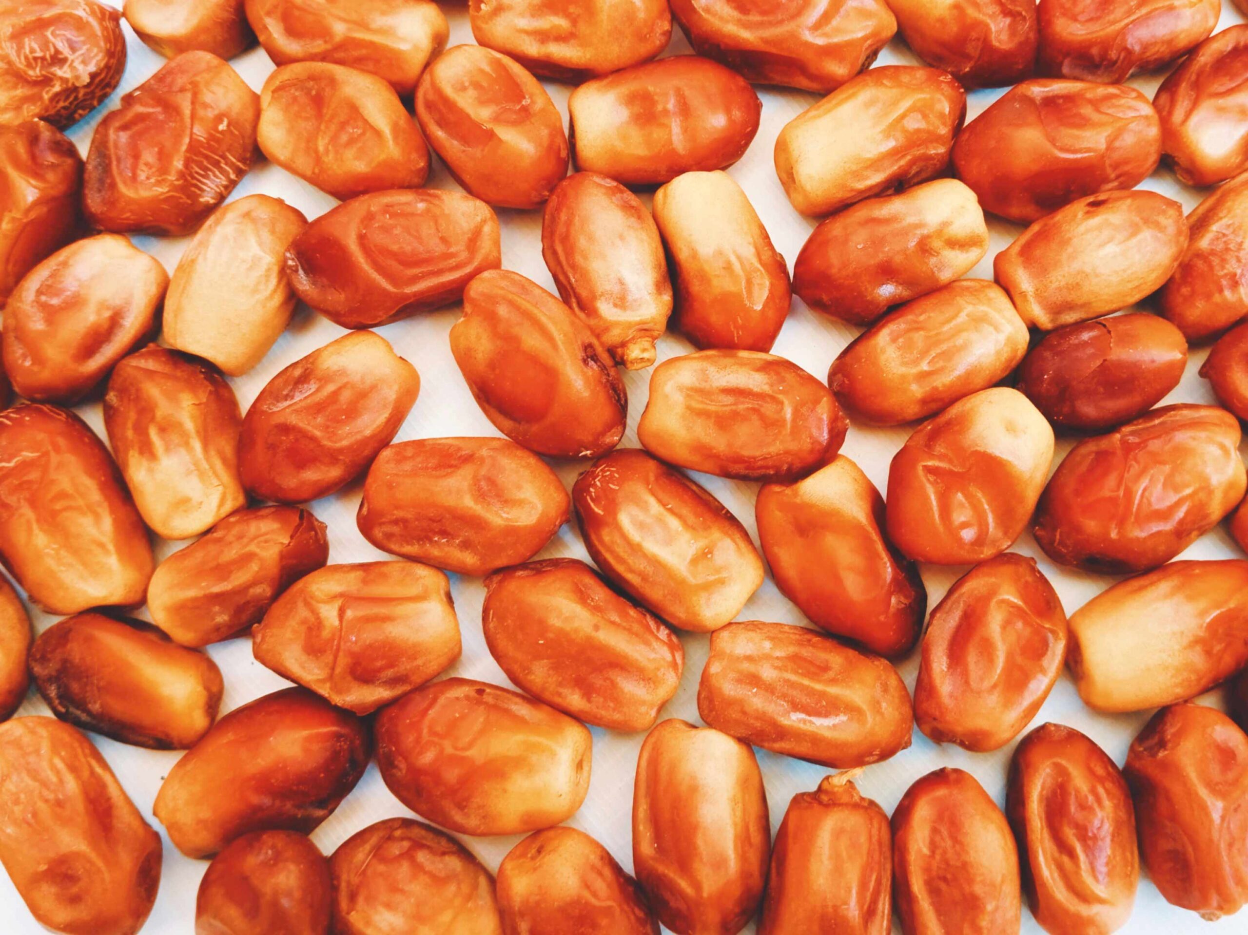 zahidi dates laid out next to each other