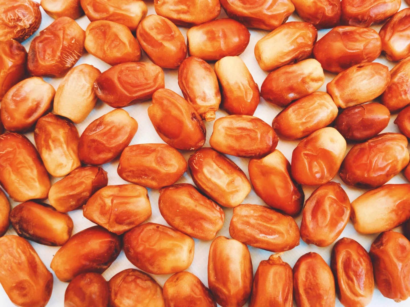 zahidi dates laid out next to each other
