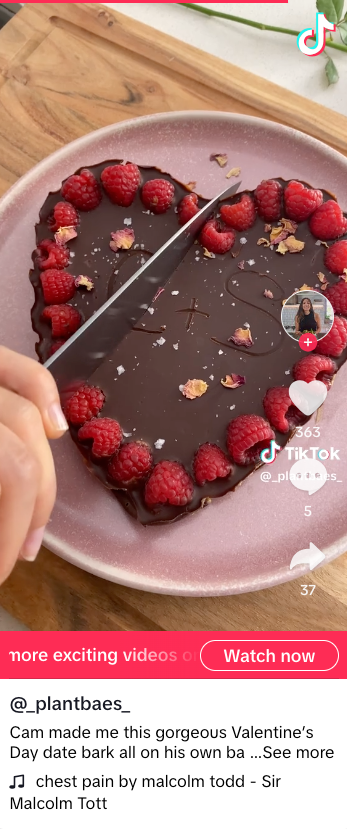 Screenshot of TikTok by Sarah Cobacho of @_Plantbaes_ - the screenshot shows a Valentine's Day date bark covered in chocolate, in the shape of a heart, and a knife cutting through it