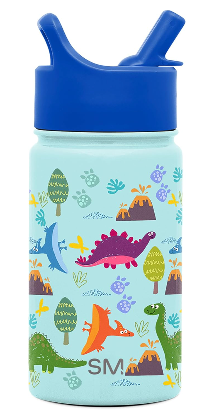 Kids Dinosaur-themed Water Bottle with Straw Lid. 