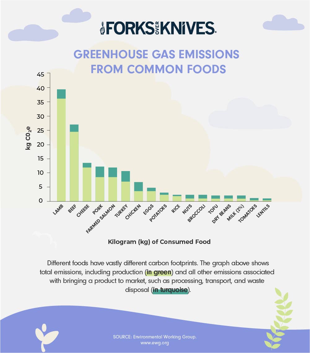 bar graph showing how much greenhouse gases is produced by meat compared with plant-based foods, with meat producing the most