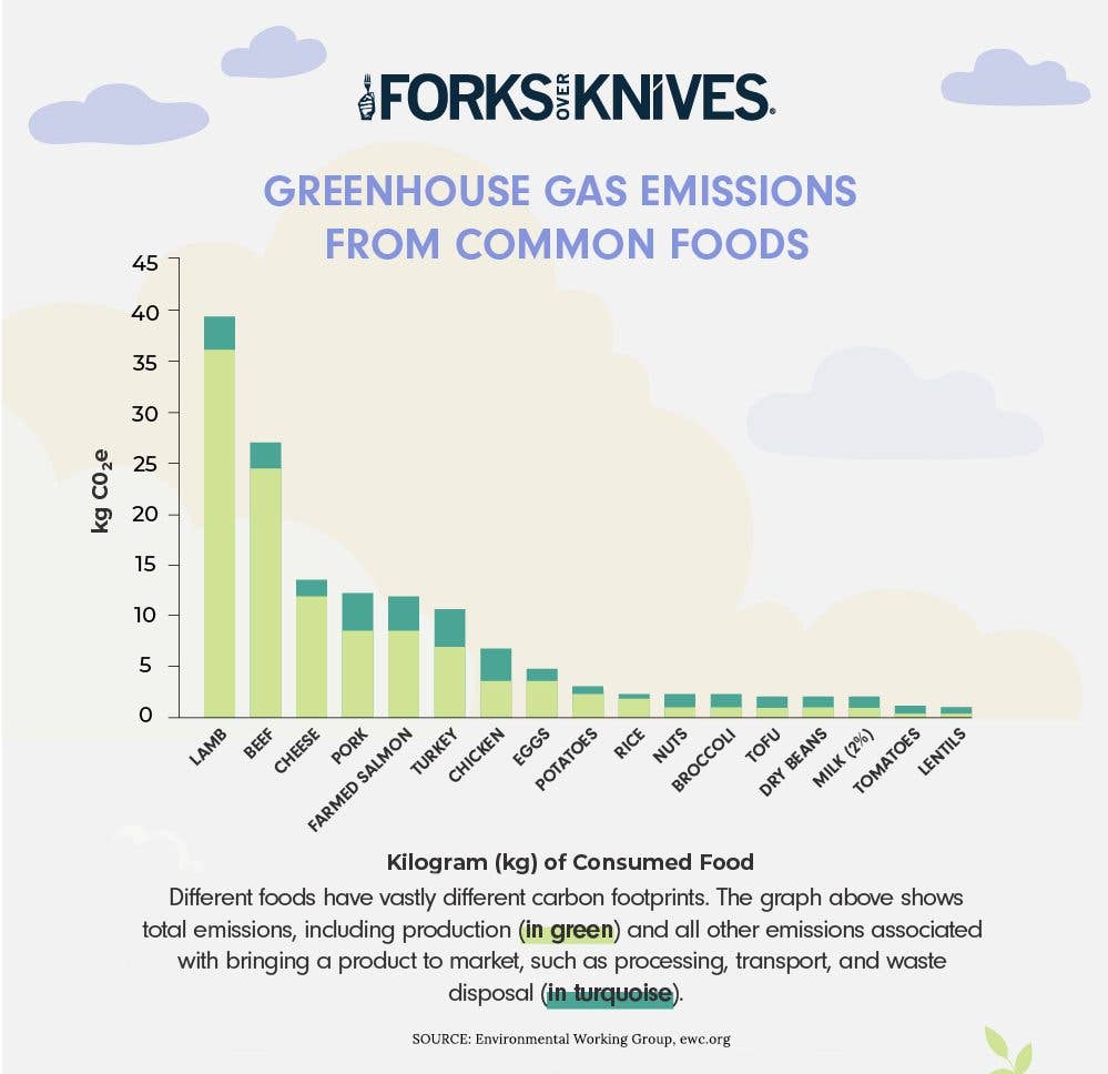 a chart showing the greenhouse gas emissions generated by the production of a range of animal-based and plant-based foods, with lamb, beef, cheese, and pork generating the most greenhouses gases per pound of food, and dry beans, 2% milk, tomatoes, and lentils producing the least amount of greenhouse gases