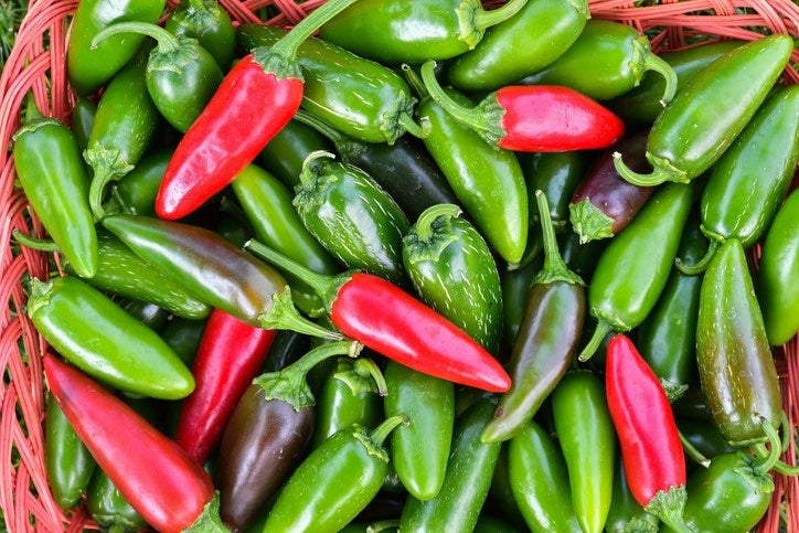 A close-up of an assortment of colorful jalapeno peppers (red and green) freshly harvested