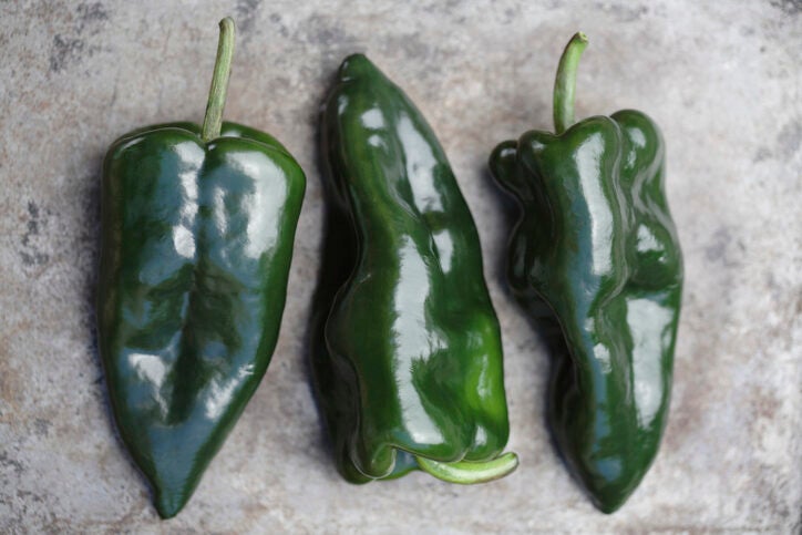 Three poblano chile peppers laid side by side on a marble or concrete countertop