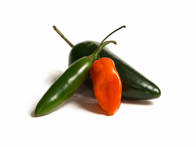 Three Serrano peppers on a white background