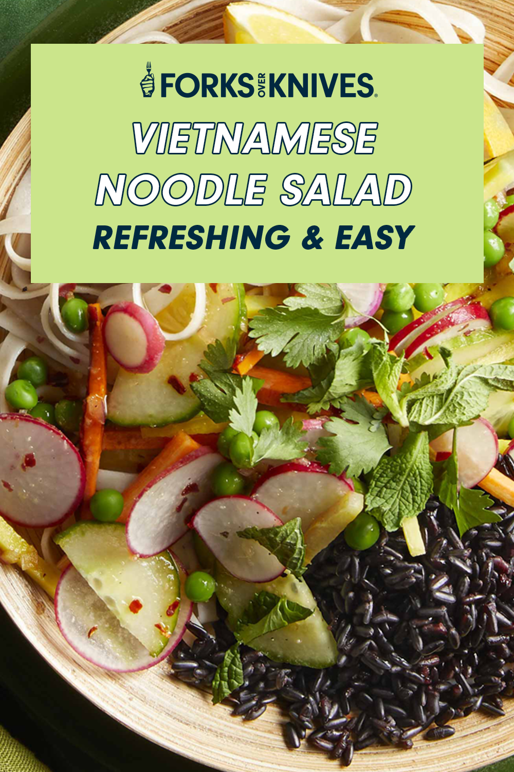 A close up of a noodle bowl with wild rice, radishes, fresh cilantro, cucumber, and mint. A title card reads, "Vietnamese Noodle Salad. Refreshing and easy"