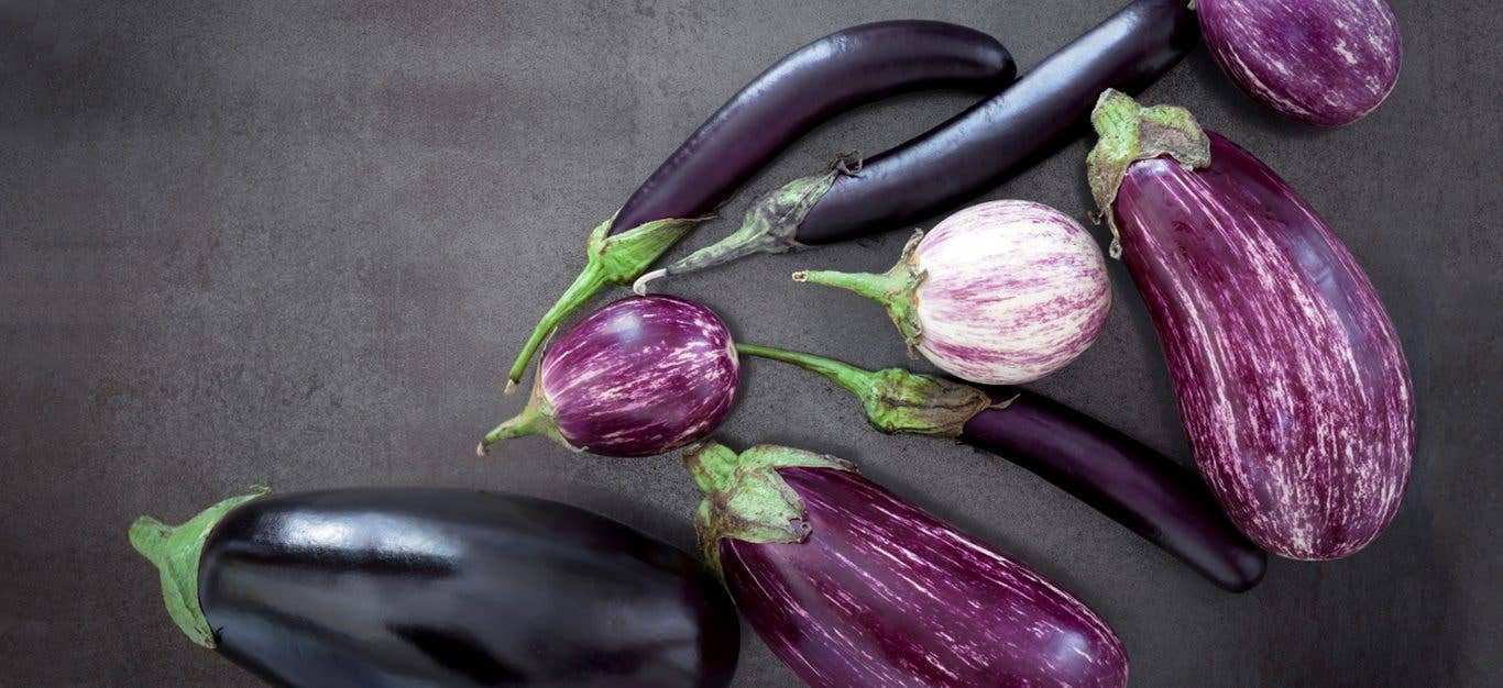 eggplant photos
