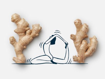 Cartoon person does a yoga stretch in between two knobs of ginger root