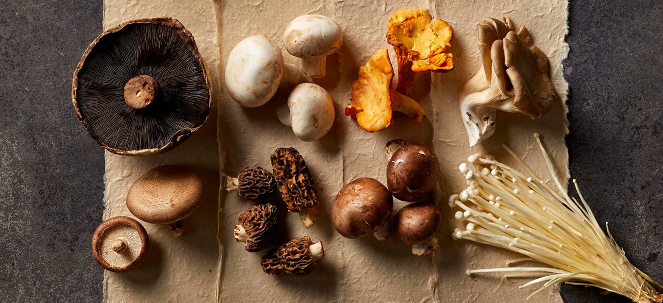 mushroom varieties - eight different mushroom varieties laid on a table