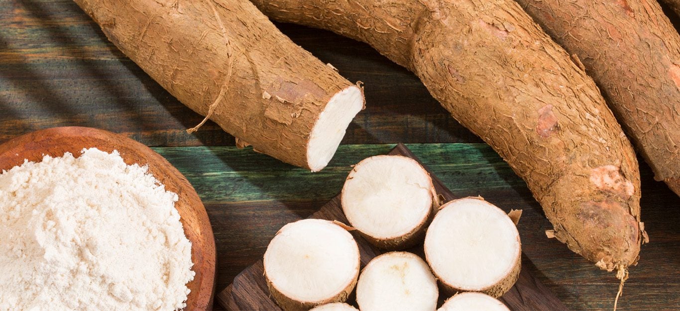 Cassava/yuca root on a table with some cassava flour in a bowl