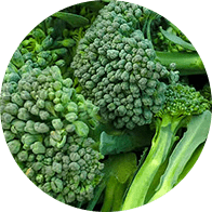 Broccoli to represent the vegetable category of the Forks Over Knives plant-based diet