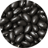 Black beans to represent the legume category of the Forks Over Knives plant-based diet