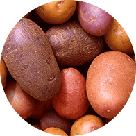 Potatoes to represent the tuber and starchy vegetable category of the Forks Over Knives plant-based diet