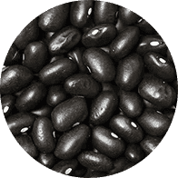Black beans to represent the legume category of the Forks Over Knives plant-based diet