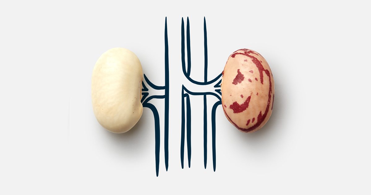 Health Topics Kidney Disease & Diet Forks Over Knives