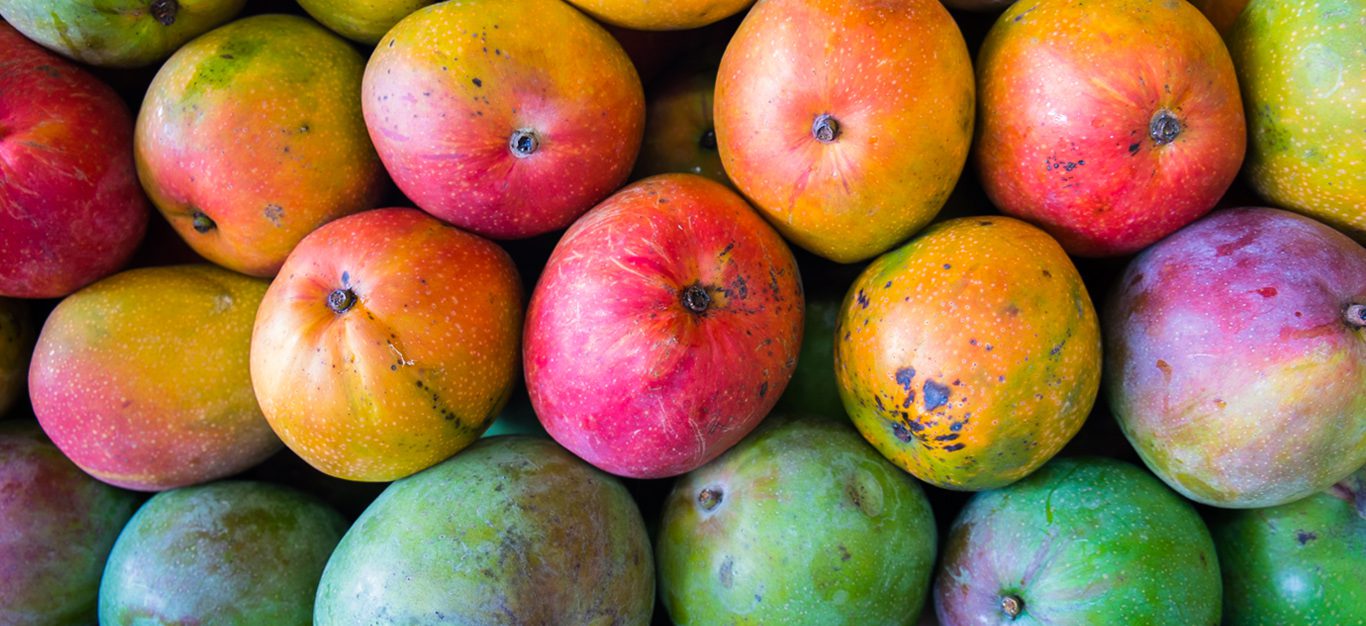 Mango Varieties - Types of Mangoes