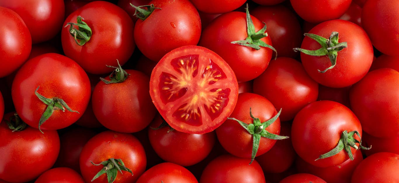 a background of more than a dozen red tomatoes, with one half of a tomato facing cut-side-up, closest to camera