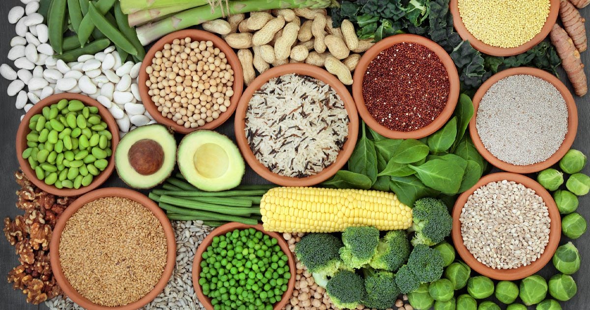 The FOK Diet Explained Forks Over Knives