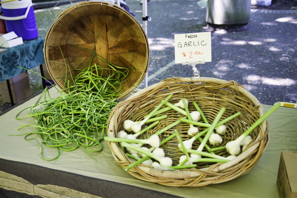 green garlic scapes at the farmers market next to fresh green garlic