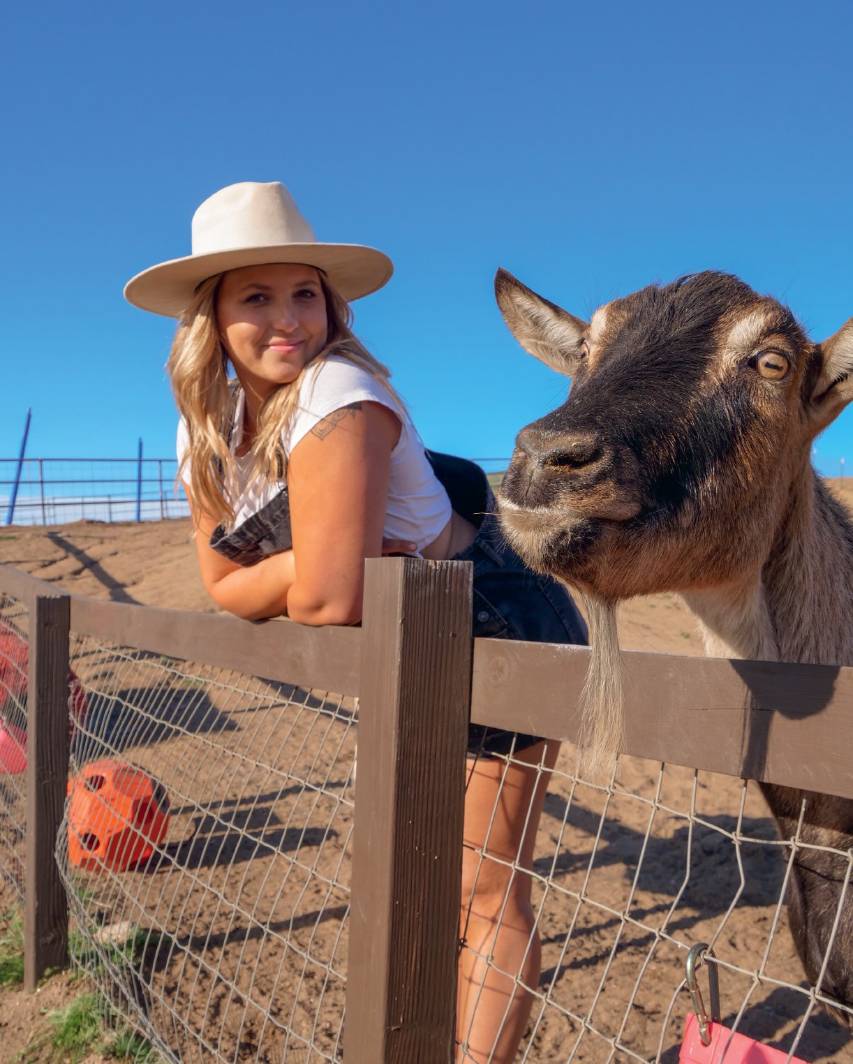 Chef Bai poses next to a goat at an animal sanctuary