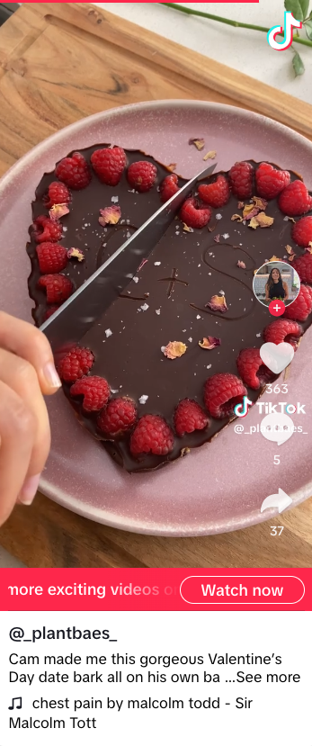 Screenshot of TikTok by Sarah Cobacho of @_Plantbaes_ - the screenshot shows a Valentine's Day date bark covered in chocolate, in the shape of a heart, and a knife cutting through it