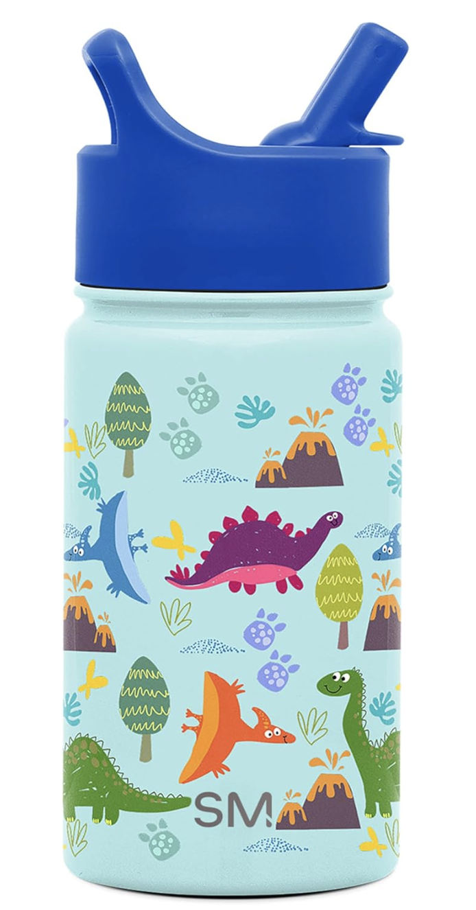 Kids Dinosaur-themed Water Bottle with Straw Lid. 