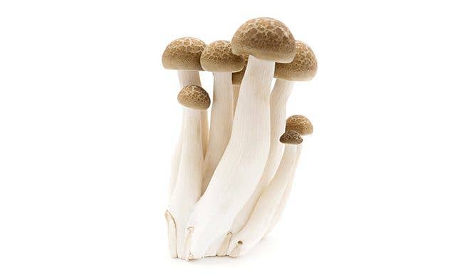 Beech Mushrooms - Credit MushroomCouncil.com