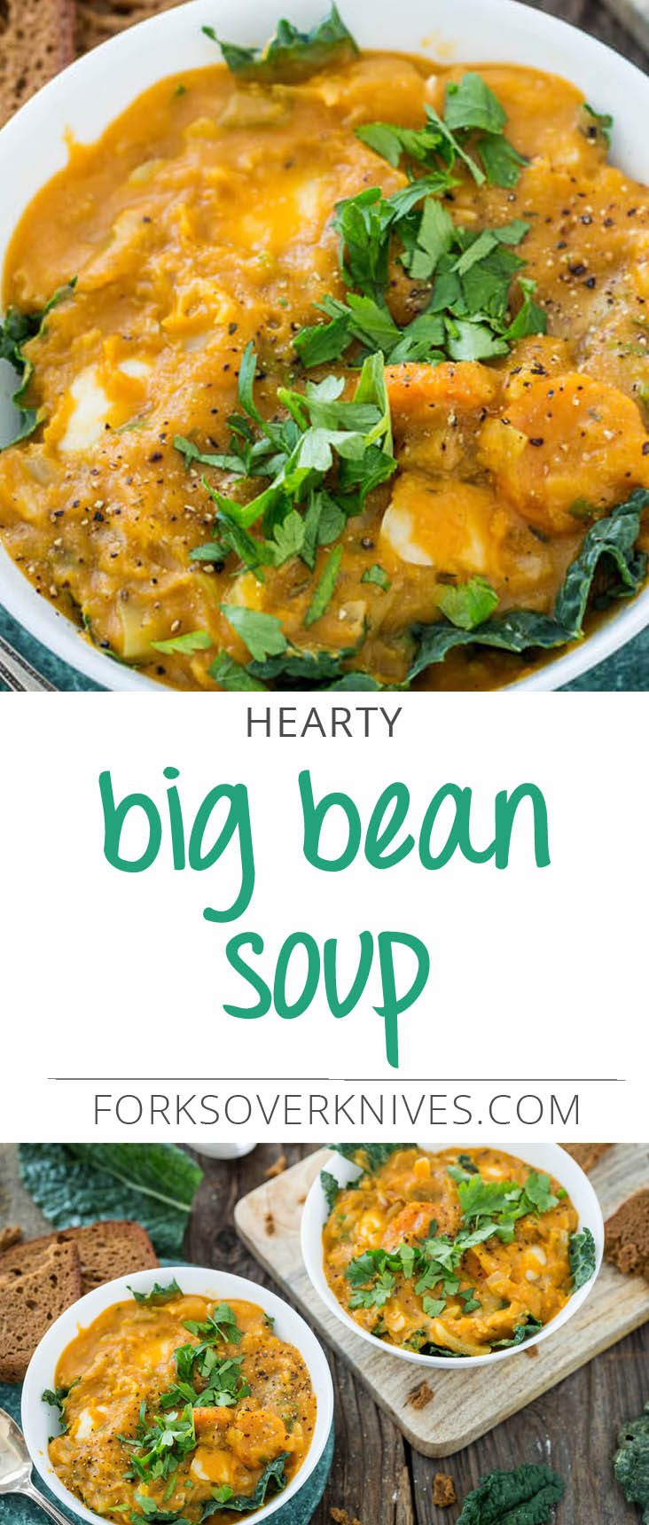 Big Bean Soup Recipe - Plant-Based Vegan Recipe