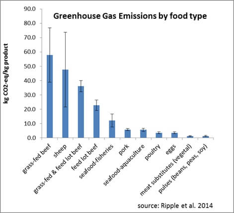 Bill Ripple graph greenhouse gas emissions