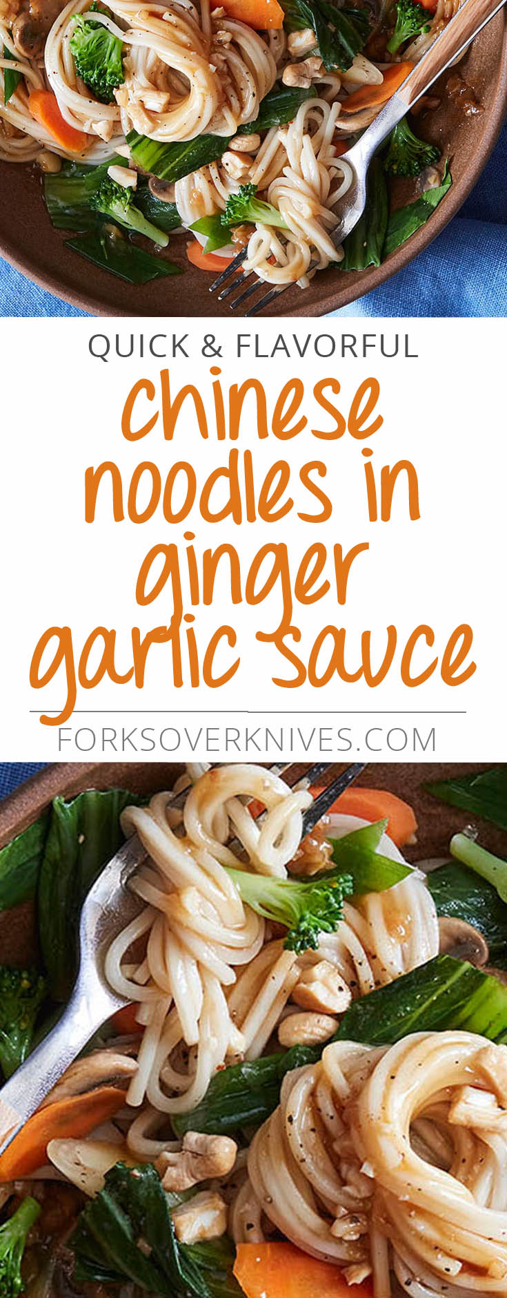 Chinese Noodles in Ginger Garlic Sauce PlantBased Vegan Recipe