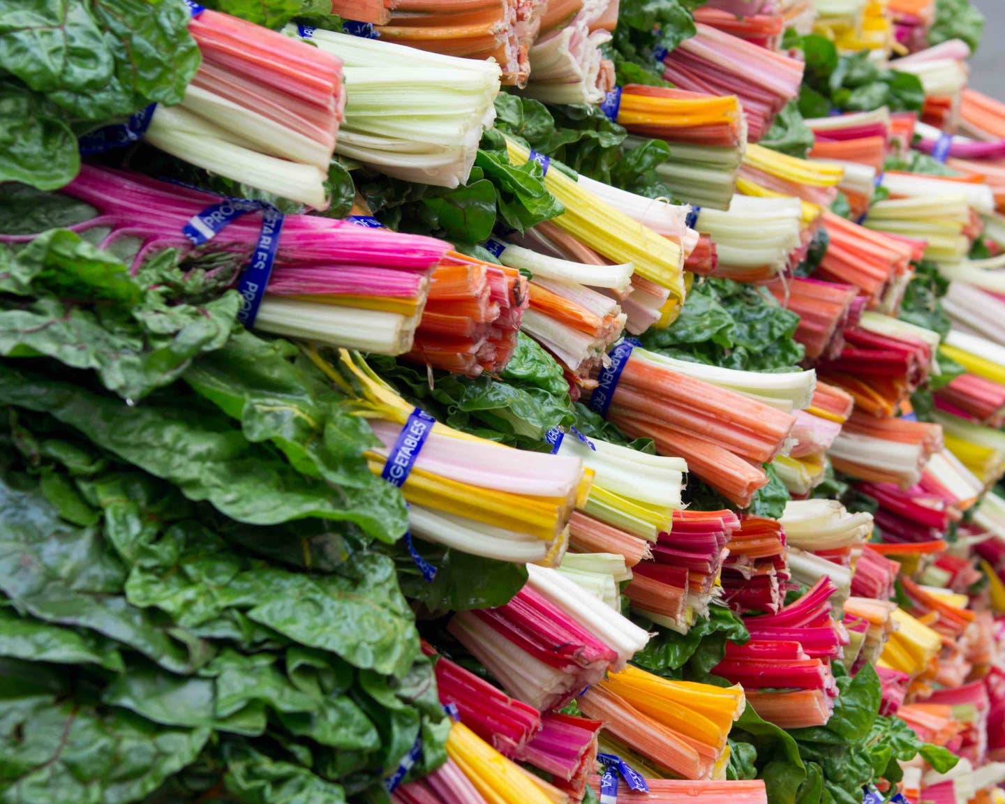 A display of colorful swiss chard at the farmers market