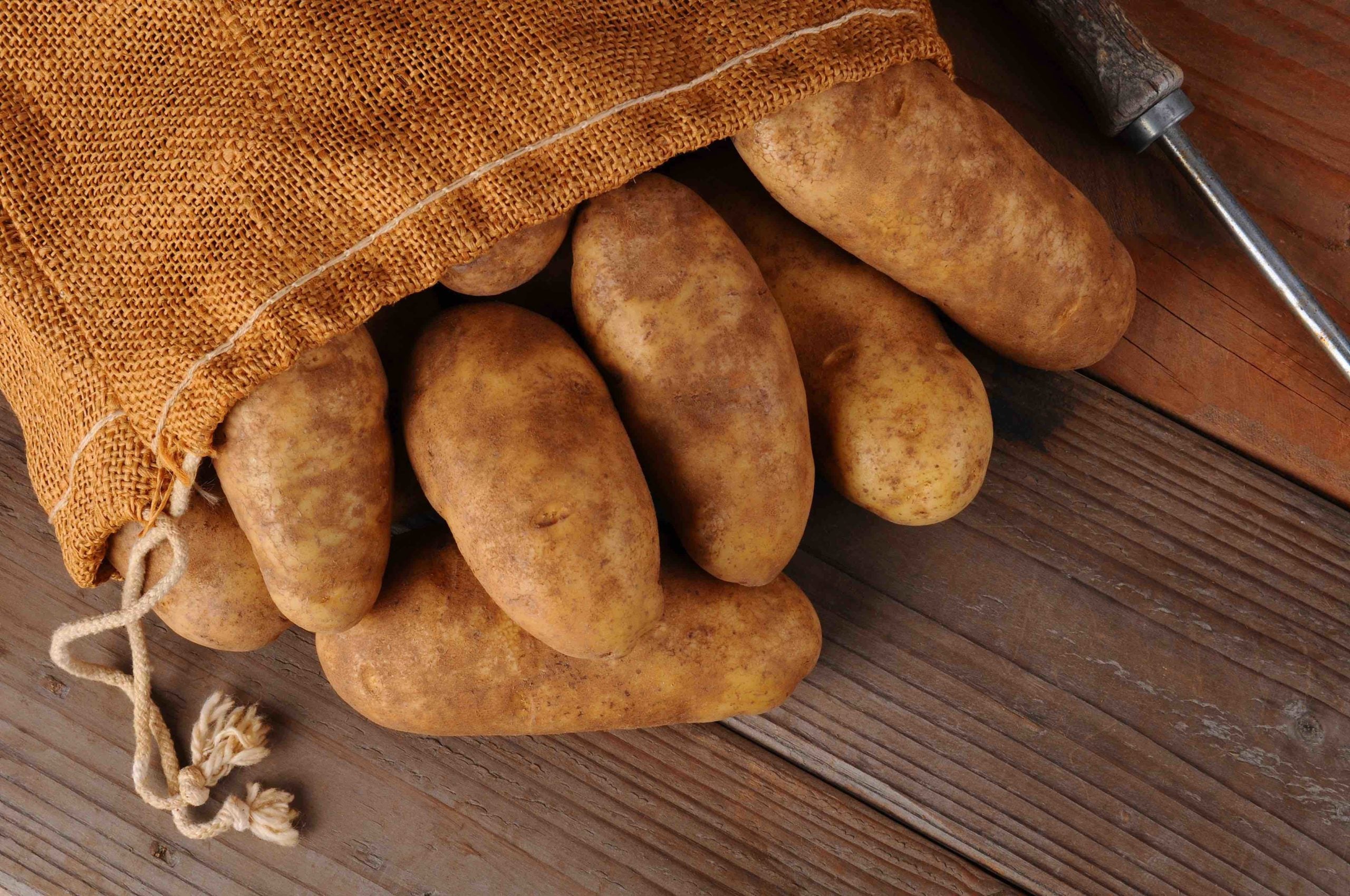A overhead view of a burlap sack of potatoes on a rustic wooden background. 