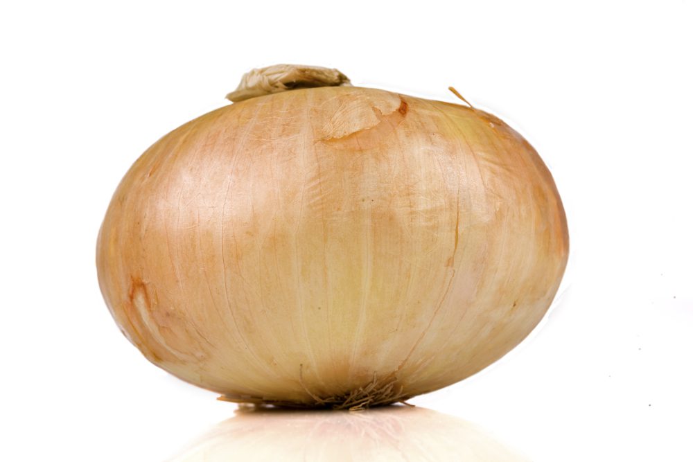 Vidalia sweet onion isolated on white