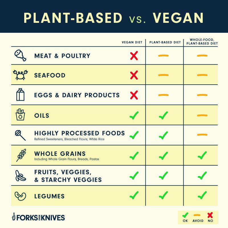 Pflanzlich vs. Vegan - Eine Tabelle, die den Unterschied zwischen Veganern und pflanzlichen Ernährungsessern erklärt