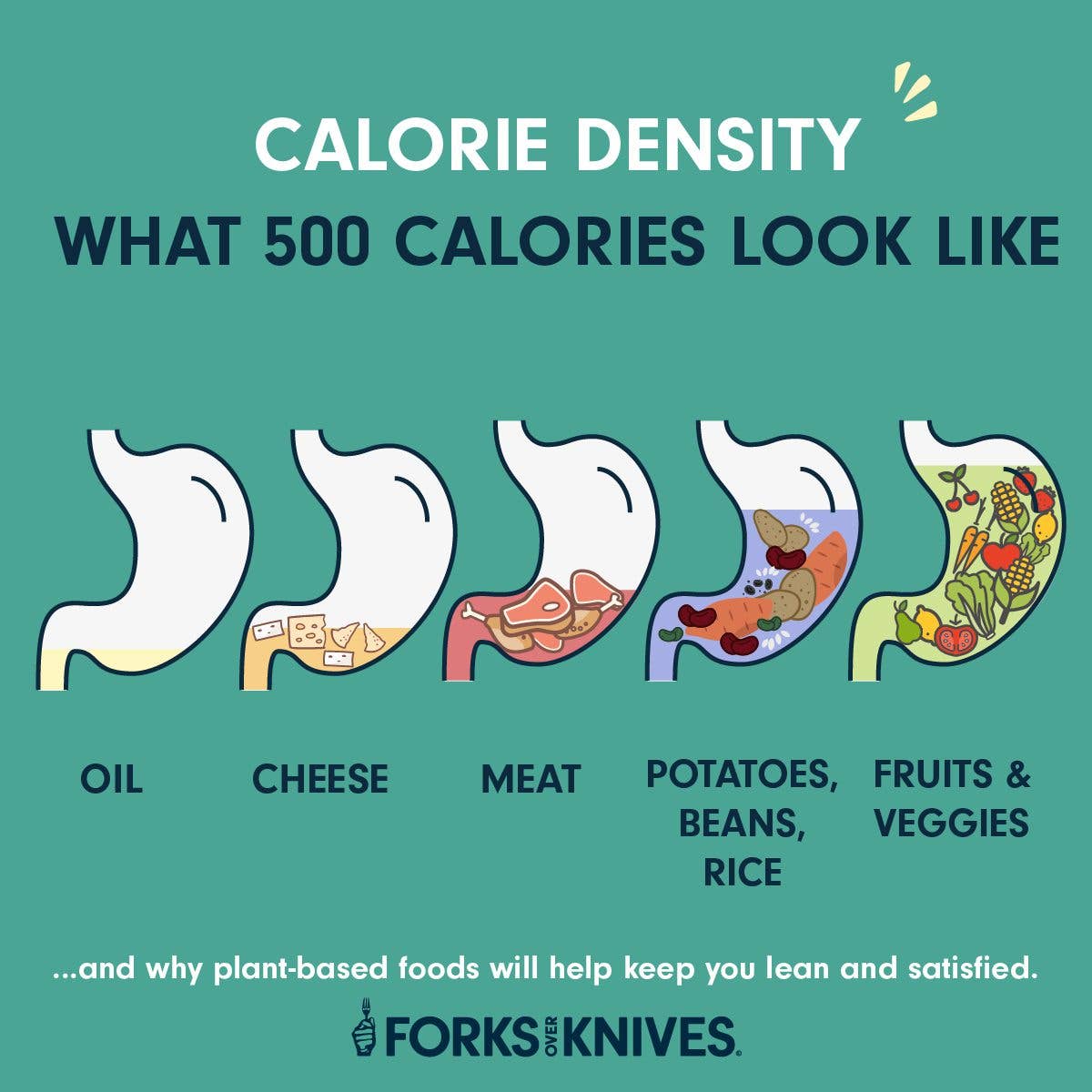 calorie density chart - what 500 calories looks like