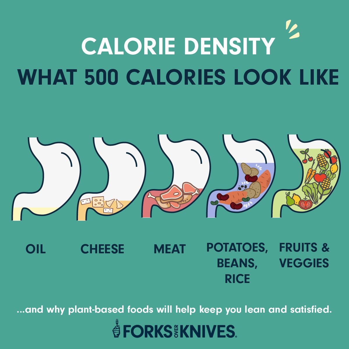 Explain The Difference Between Nutrient dense Foods And Calorie dense 